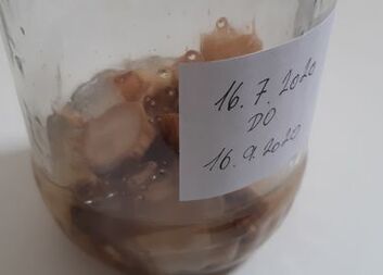 Akce lopuchový olej (Rodina spolu)