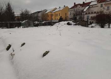 Zima v komunitní zahradě