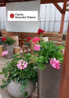 zahrada1